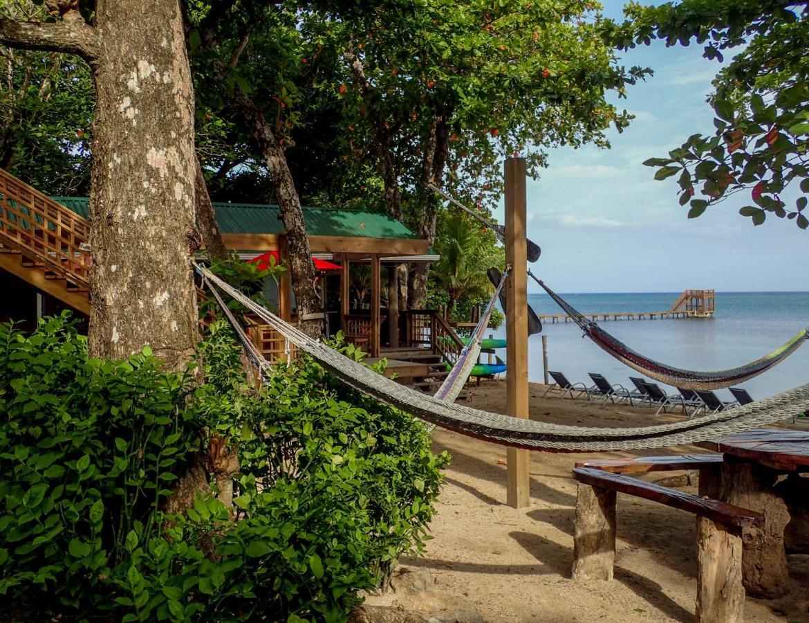 Blue Island Divers Casita Azul Villa Sandy Bay Exterior photo