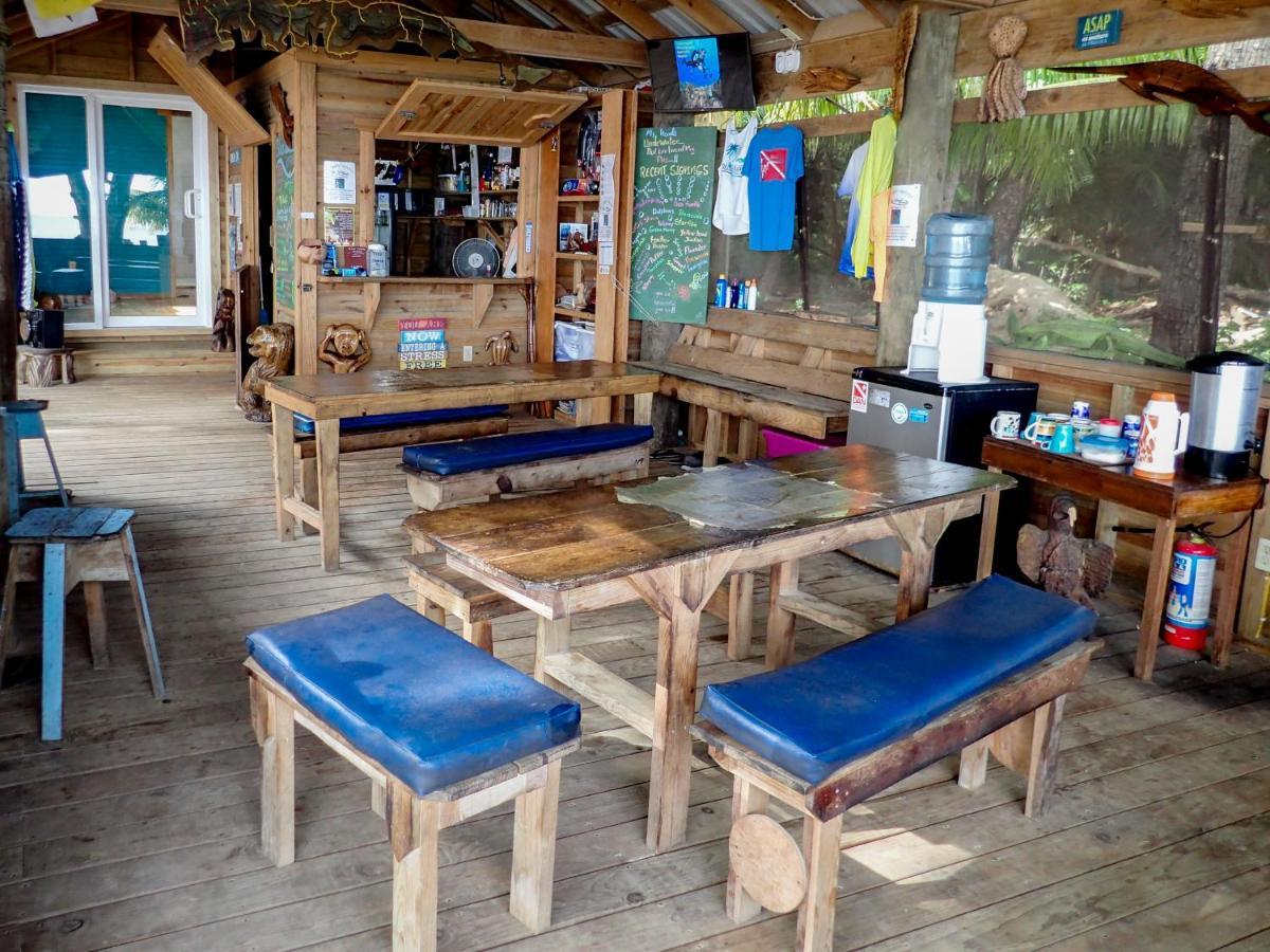 Blue Island Divers Casita Azul Sandy Bay Exterior photo