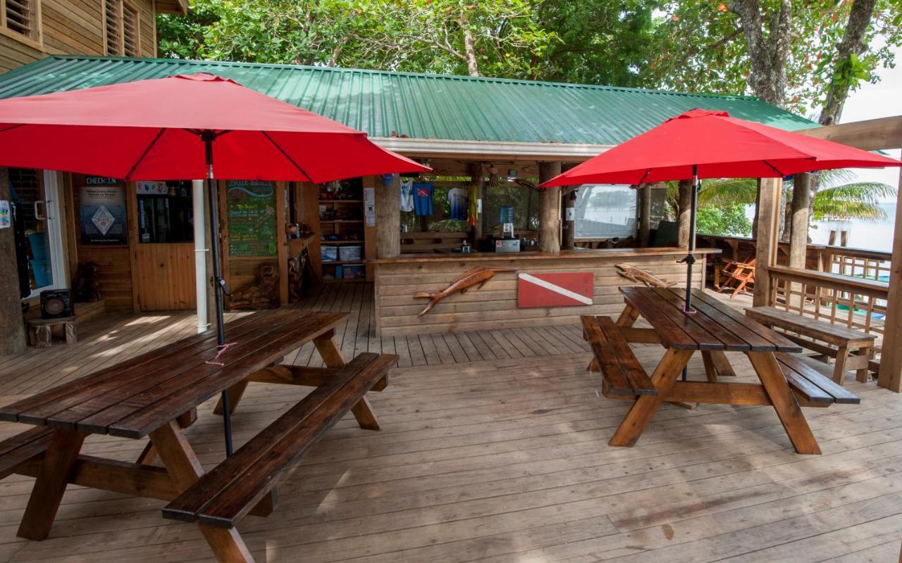 Blue Island Divers Casita Azul Sandy Bay Exterior photo
