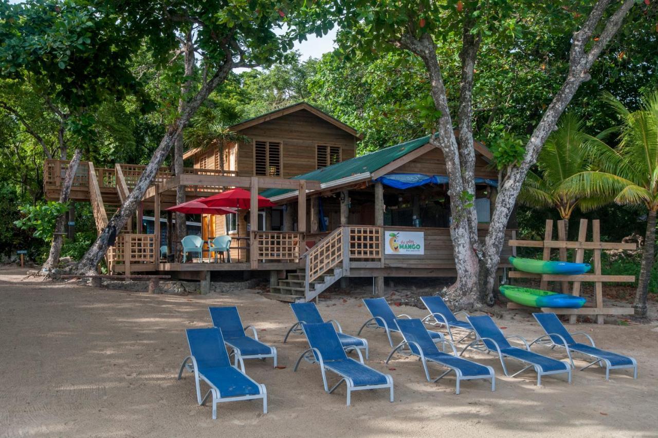 Blue Island Divers Casita Azul Villa Sandy Bay Exterior photo